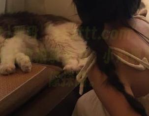 那段“zzzttt.com”视频狠狠打击了我的狗粮承受力，小心翼翼点开就像探险。