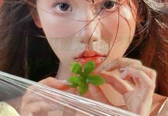 转眼又想追“黑料不打烊”,iOS用户们你们都用哪个浏览器?