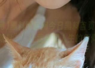 黑料网官网今日黑料首页出了个“新料”,让我怀疑人生的信仰。