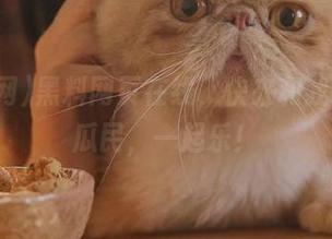 黑料网页在线,快来和我一起做瓜民,一起乐!