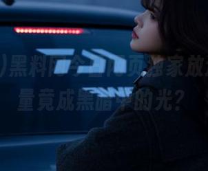 黑料网今日网页独家放送，正能量竟成黑暗中的光？